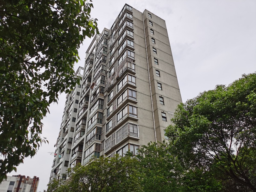 上海市宝山区海淞苑8栋2F 