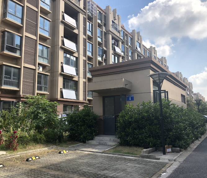 上海市松江区陈坊新苑137栋5F 