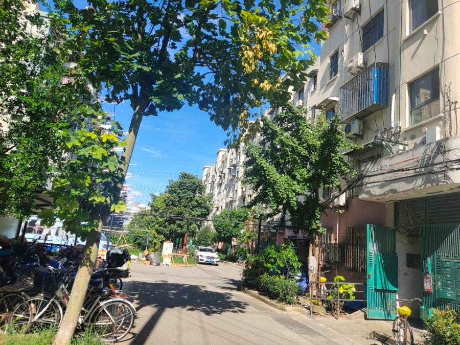 上海市宝山区共康八村83栋4F 