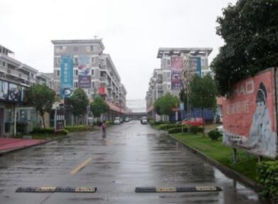 上海市闵行区金盛国际家居17栋3F 