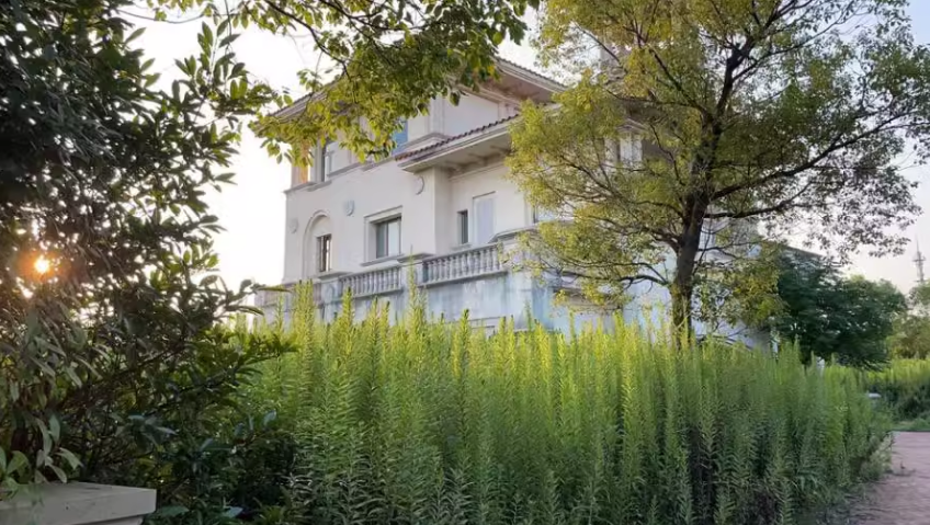 上海市奉贤区棕榈滩高尔夫别墅142栋全幢 