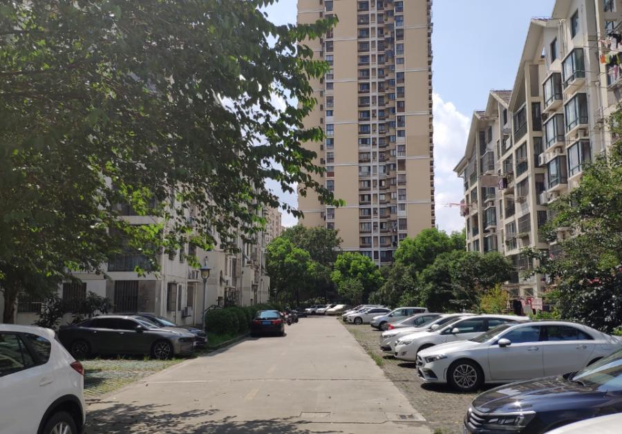 上海市松江区润江花苑195栋12F 