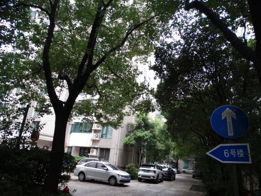 上海市长宁区今日丽园6栋8F 