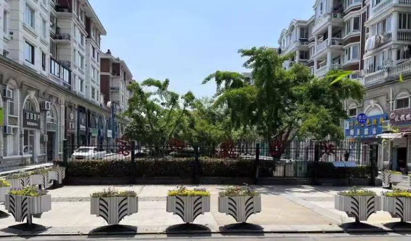 上海市松江区三盛颐景园695栋1F 