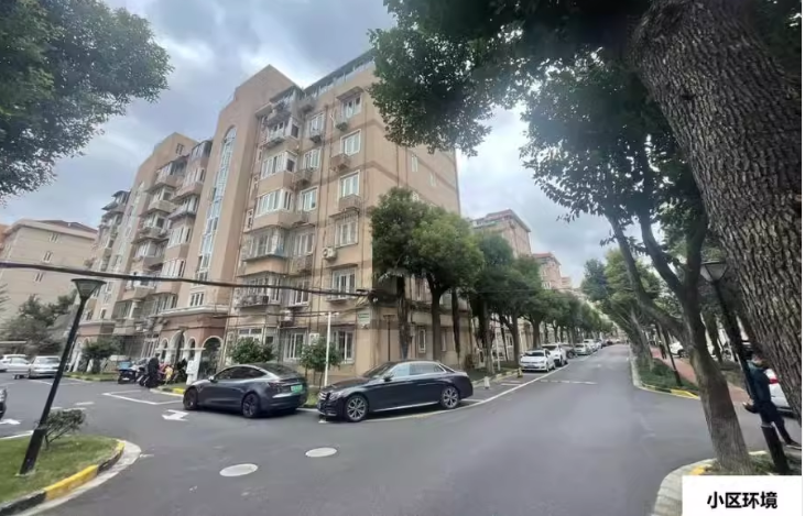 上海市闵行区南国花园南国花园 