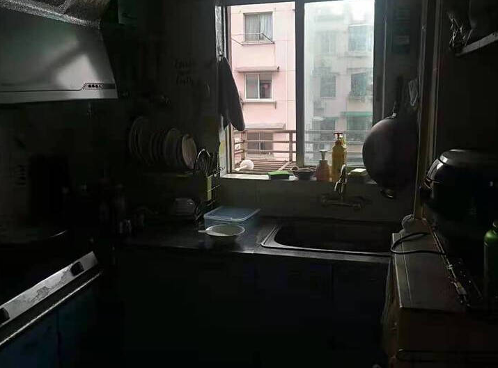 上海市杨浦区北茶园24栋5F 