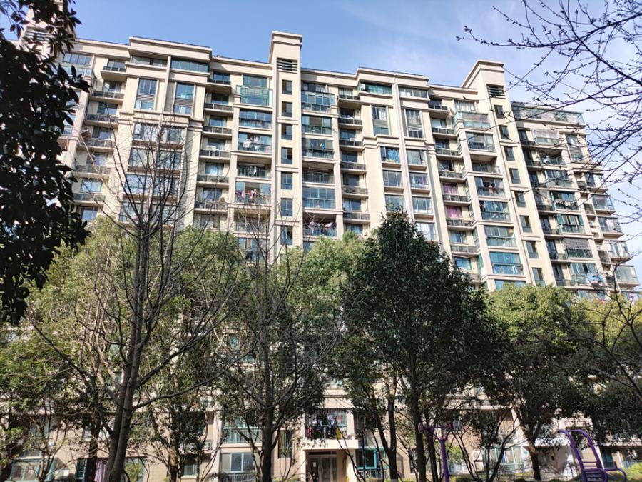 上海市松江区莱顿小城49栋7F 