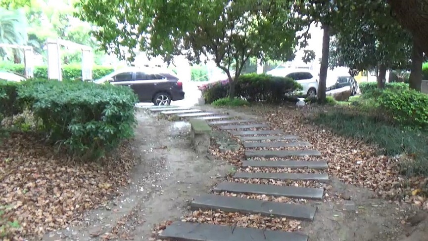 上海市杨浦区文化花园33栋10F 