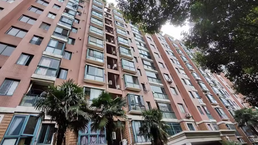 上海市闵行区新明星花园50栋10F 