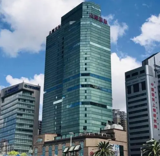 上海市徐汇区飞雕国际大厦1065栋17F 