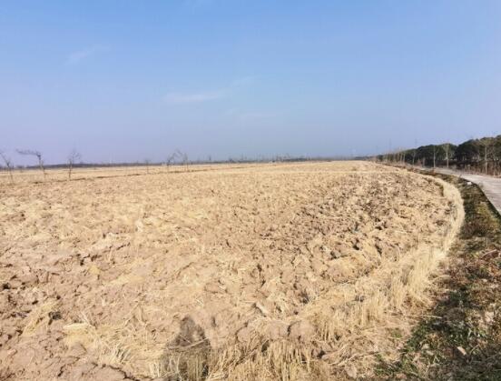 上海市崇明区新河镇地块新河镇68街坊6/2丘地块 