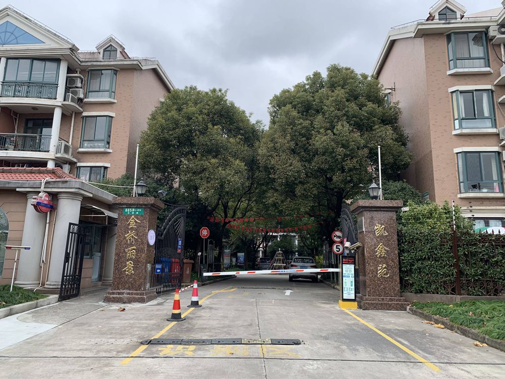 上海市浦东新区金桥丽景凯鑫苑10栋8F 