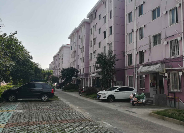 上海市金山区山龙新村100栋3F 