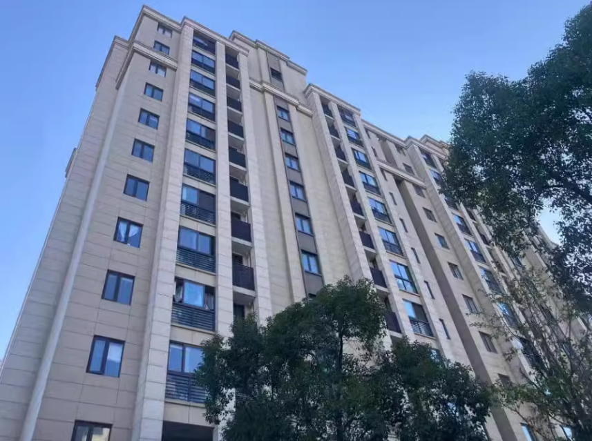 上海市闵行区一品漫城196栋2F 