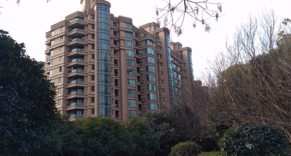 上海市浦东新区上海绿城53号2F及地下车位 