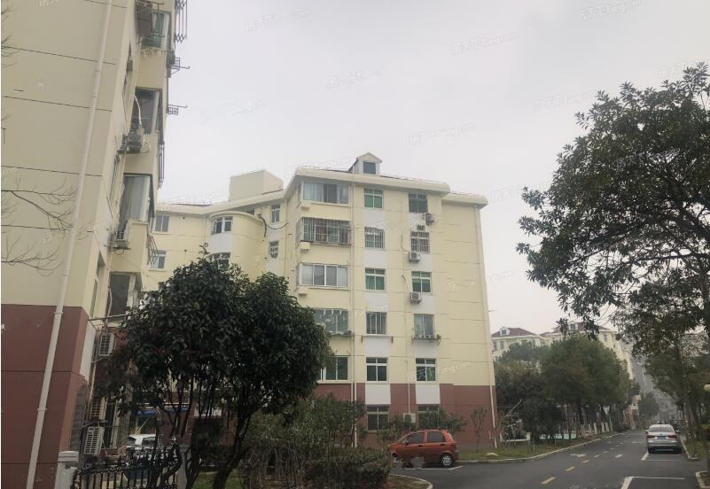 上海市金山区山鑫联城花苑1栋5F 