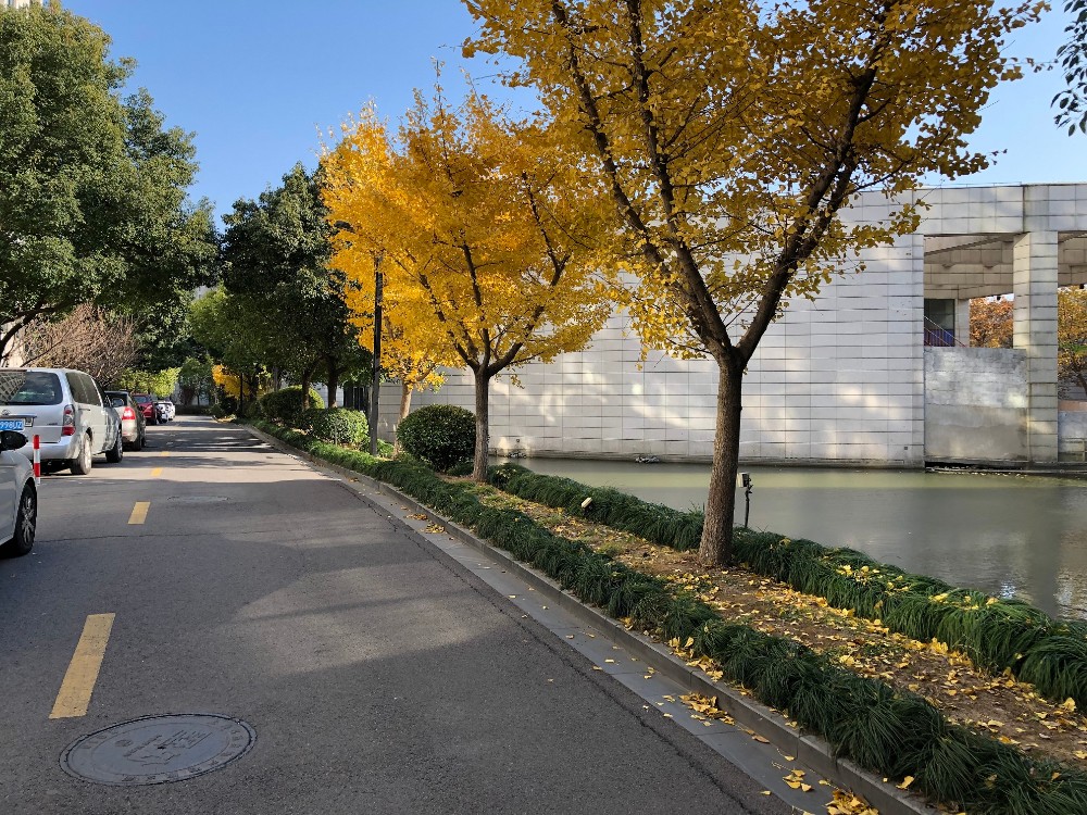 上海市浦东新区沔溪苑24栋11F及地下车位 