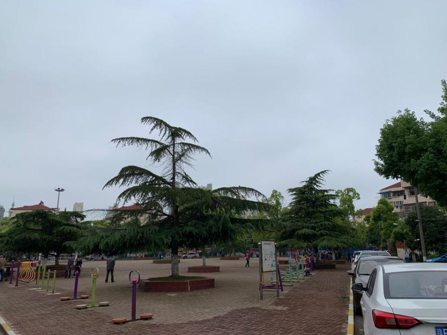 上海市宝山区高境二村178栋1F 