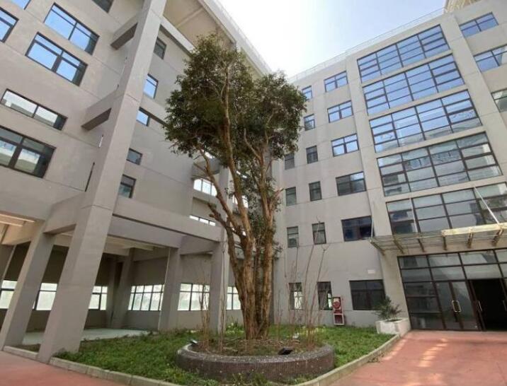 上海市浦东新区浦东新区国际医学园区厂房紫萍路737栋1-3幢 