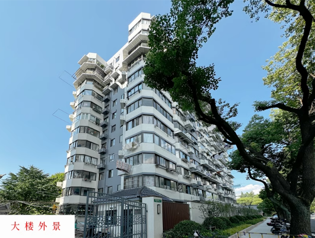 上海市徐汇区康健路341弄1栋12F 