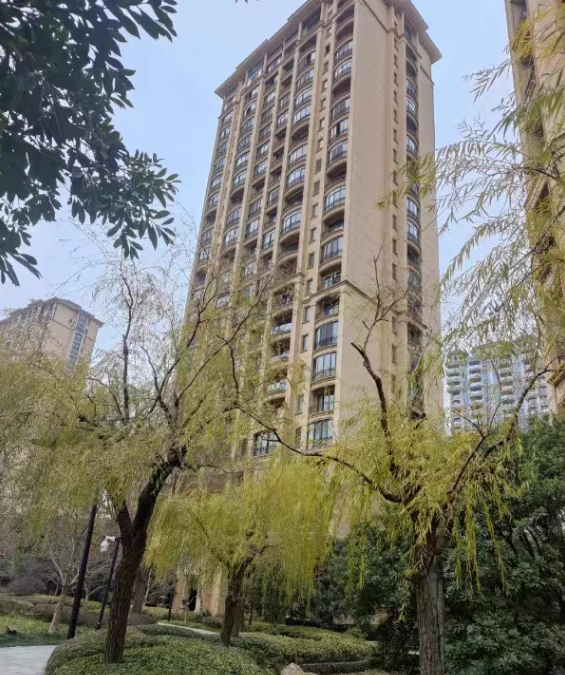 上海市闵行区上海星河湾10栋10F 