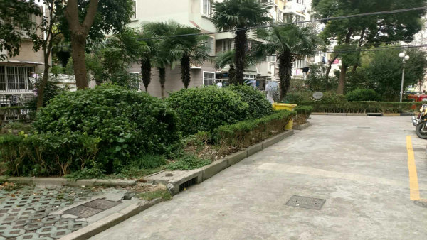 上海市闵行区虹景苑43栋1F 