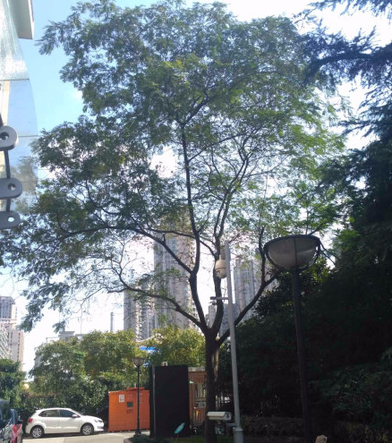 上海市黄浦区望江苑189栋10F 