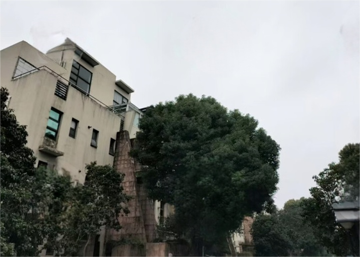 上海市闵行区亿豪名邸12栋3F 