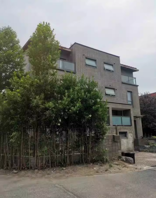 上海市浦东新区长城中环墅175栋全幢 