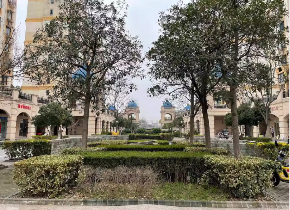 上海市松江区珠江新城27栋5F 