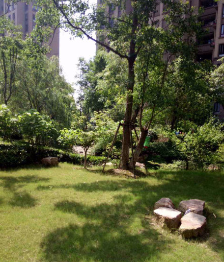 上海市浦东新区万科清林径178栋1F 