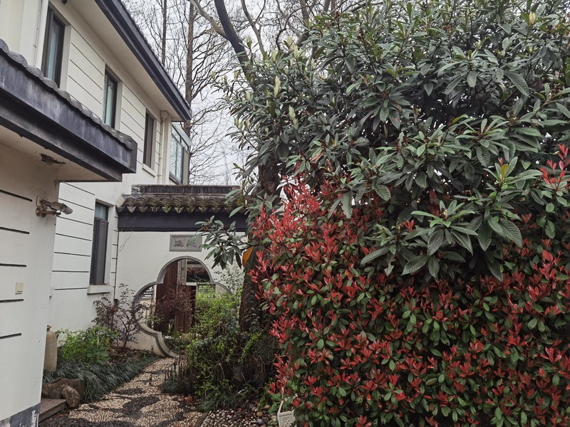 上海市松江区云间水庄新桥镇192栋 