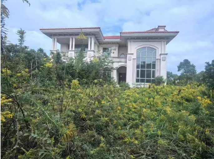 上海市奉贤区棕榈滩高尔夫别墅140栋全幢 