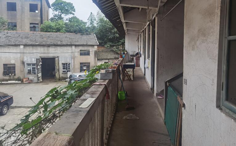 上海市金山区花贤路101号厂房花贤路101栋 