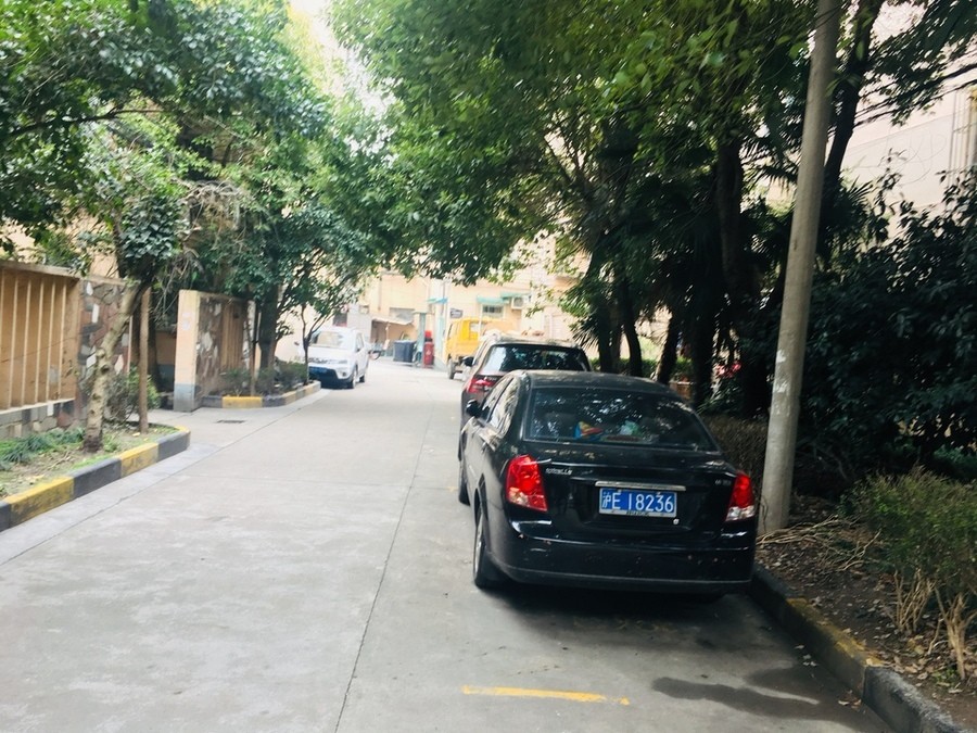 上海市徐汇区11弄小区123栋6F 