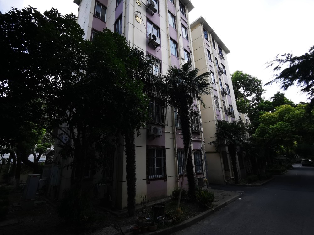 上海市浦东新区杏花新苑14栋1F 