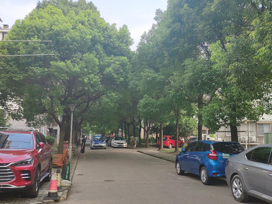 上海市浦东新区浦发绿城48栋1F 