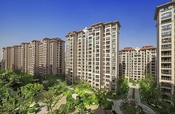 上海市松江区米兰诺贵都61栋1F 