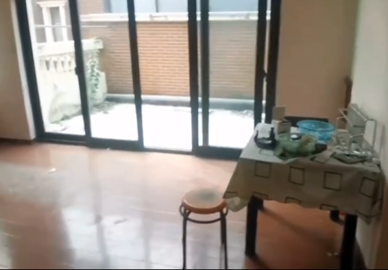 上海市松江区合生国际花园洞泾镇316栋 