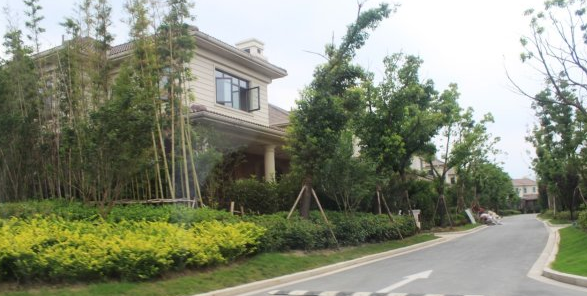 上海市松江区合生国际花园241栋 