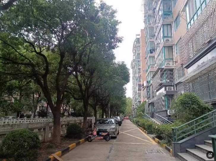 上海市奉贤区阳光园11栋9F 