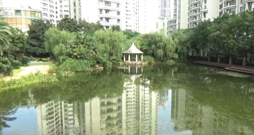 上海市静安区中凯城市之光2栋25F 