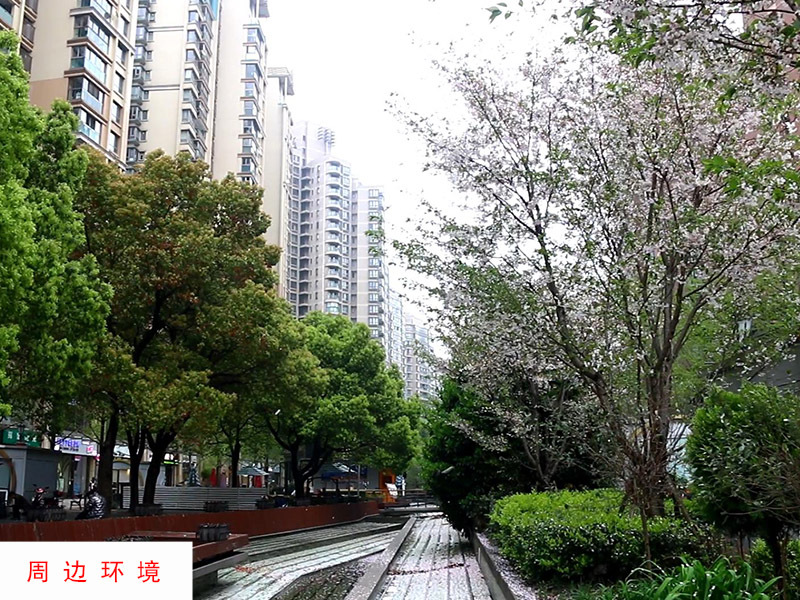 上海市长宁区巴黎花园黄金城道854栋（双）1-2F 