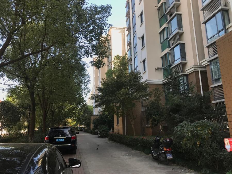 上海市闵行区春申玫瑰苑35栋8F 