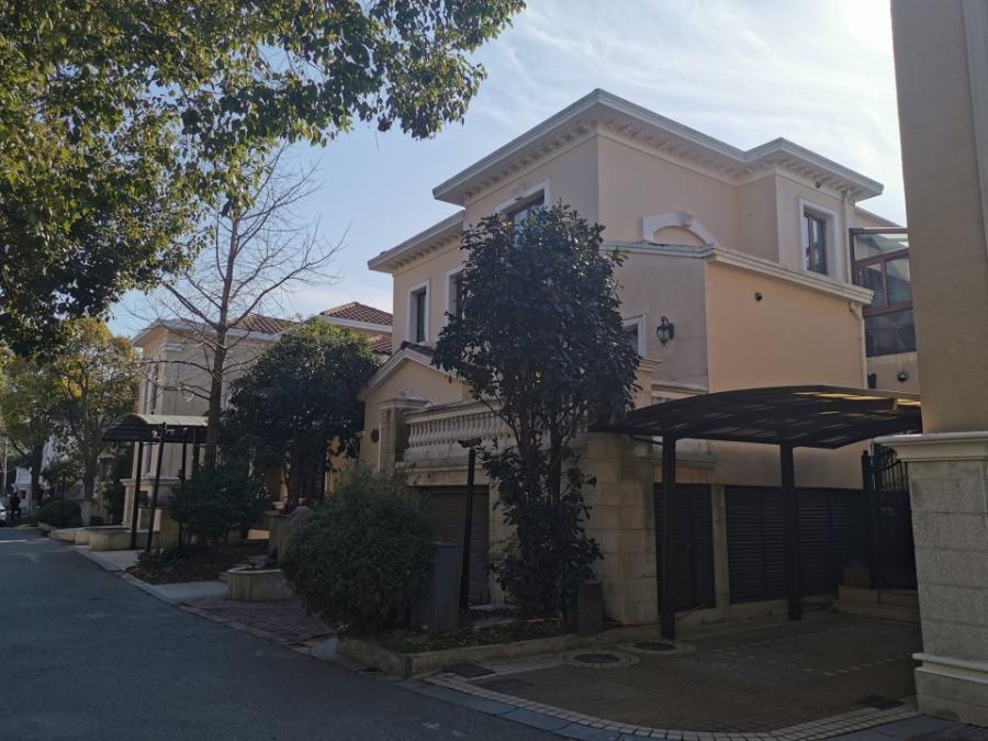 上海市浦东新区梵高别墅50栋 