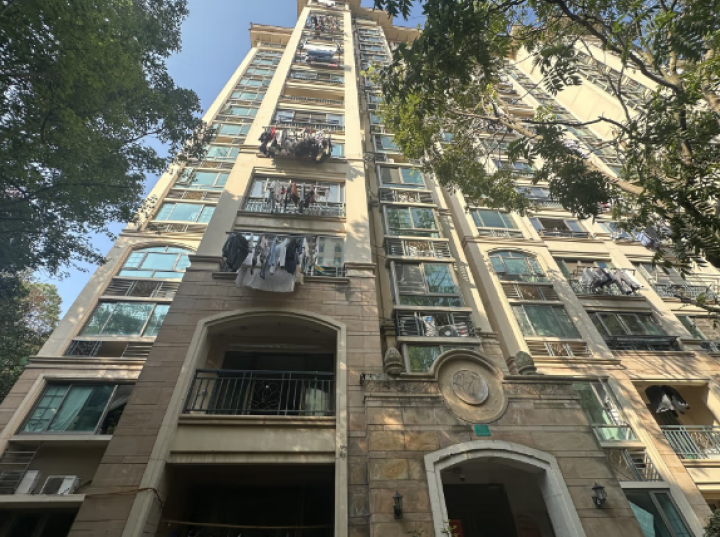 上海市松江区米兰诺贵都31栋3F 