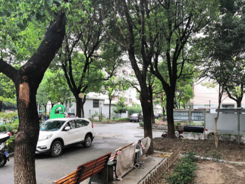 上海市浦东新区富特三村1栋4F 