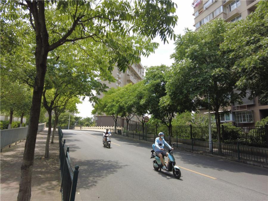 上海市青浦区春江三月10栋13F 