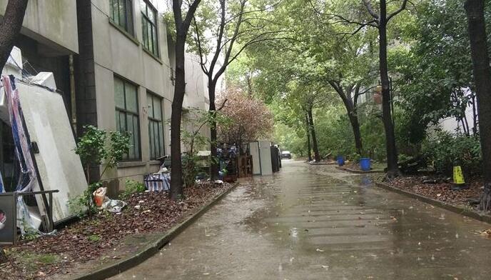 上海市普陀区鑫宇都市园常和路615弄10栋1-3F 