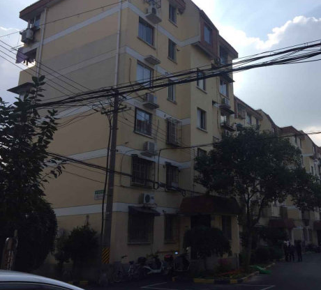 上海市浦东新区银桥花苑5栋6F 